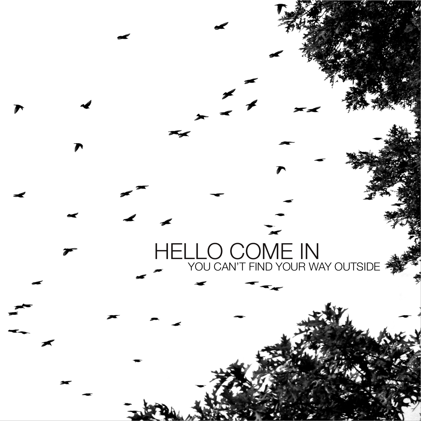 hello.music – HELLO COME IN